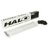 Halo Aura 14g Spoke - White