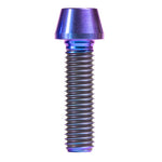 {"description"=>"Replacement bolts, SS Ti (purple)"}